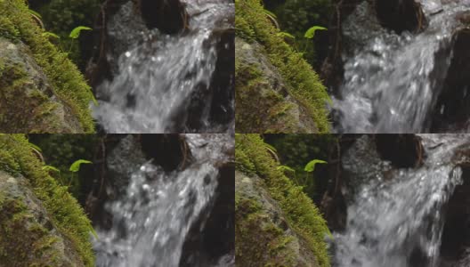 苔藓与模糊的瀑布高清在线视频素材下载