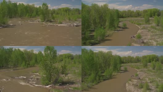 加拉廷河蜿蜒穿过棉白杨河岸，在早春向北流向蒙大拿州的博兹曼高清在线视频素材下载