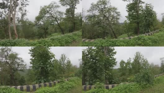 在印度古吉拉特邦，当季风期间，从开往Saputara的路上行驶的车辆上看到森林中环绕道路的绿树高清在线视频素材下载