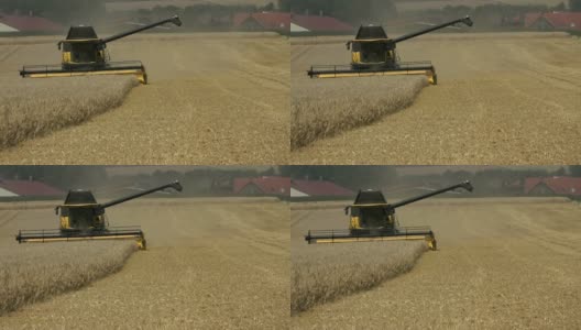 联合收割机适用于小麦收获、冬小麦田、小麦田、玉米田等农业生产高清在线视频素材下载