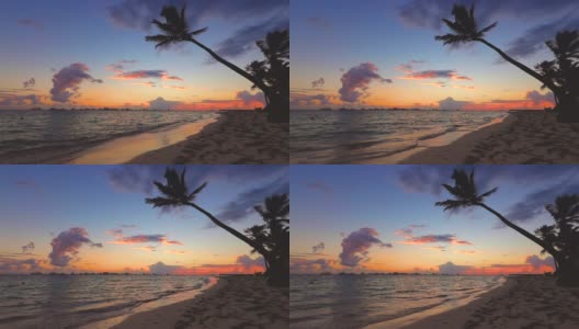 热带岛屿。有棕榈树的异国海滩。假期和假期背景。高清在线视频素材下载