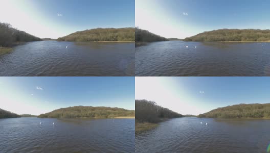 拍摄北爱尔兰quoile河上的鸟高清在线视频素材下载