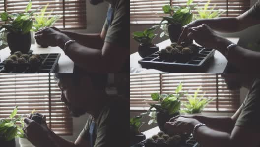时髦的亚洲男人在家给室内植物浇水高清在线视频素材下载