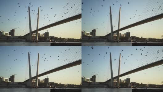 城市景观以金桥为望。符拉迪沃斯托克高清在线视频素材下载