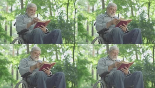 下角视角，吸收残疾人老人看书和微笑。聪明的残疾人白种退休人员在阳光明媚的夏日公园里与文学一起休息。高清在线视频素材下载