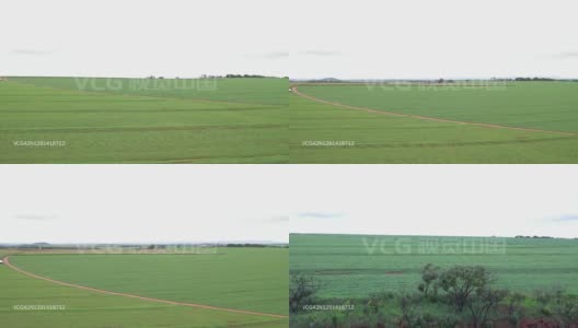 这是巴西圣保罗S?o州农业的航拍图片高清在线视频素材下载
