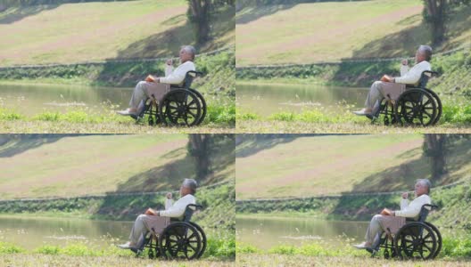 亚裔老人坐在轮椅上在公园里看书高清在线视频素材下载