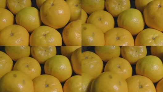 许多橘子在圈里移动，堆放着高清在线视频素材下载