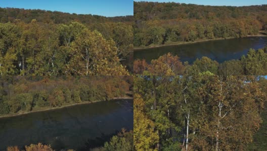 秋天的颜色在树上，雪兰多河，前皇家，弗吉尼亚，美国高清在线视频素材下载