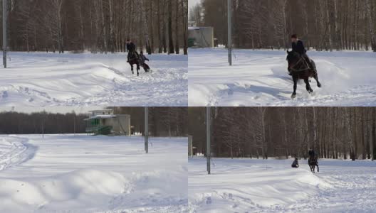 慢镜头:一个女孩骑着马疾驰。一匹马用绳子拖着一个滑雪者。滑雪者在雪堆中骑在滑雪板上。女子骑师和男子滑雪板训练成对。高清在线视频素材下载