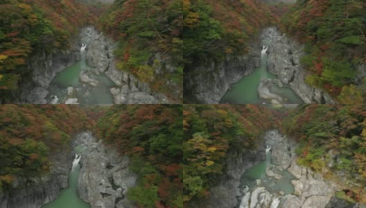 鸟瞰图琉球山谷和秋天的树叶，日光，枥木，日本高清在线视频素材下载