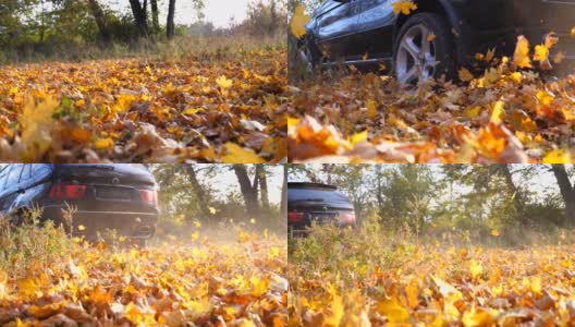 强劲的汽车在公园的黄叶小巷中快速行驶。五颜六色的秋叶从车轮下飞了出来。在阳光明媚的日子里，黑色越野车穿过一条小路。侧视图慢镜头高清在线视频素材下载