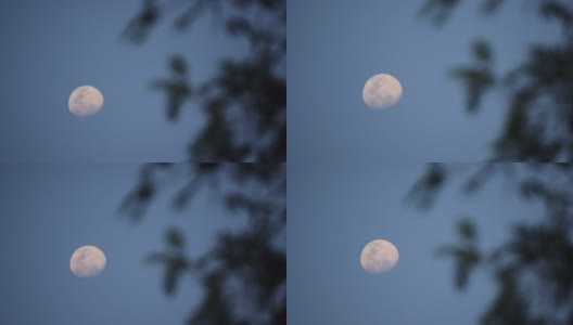 月亮高清在线视频素材下载