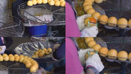 一名女工用削皮器削柿子，并把它们放在筛子里。高清在线视频素材下载