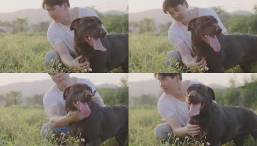 亚洲帅哥的肖像，在公园散步休息后，按摩他的黑色拉布拉多寻回小狗，放松锻炼活动在夏天的时候，与宠物相处的时间高清在线视频素材下载