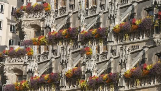 德国慕尼黑——2019年10月25日:慕尼黑新市政厅的部分区域装饰着各种盛开的花朵。马里恩广场，城市的中心广场高清在线视频素材下载