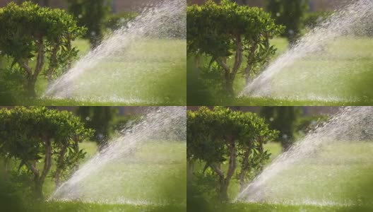 塑料洒水车在夏季花园用水灌溉草坪。在旱季灌溉绿色植被，保持其新鲜高清在线视频素材下载