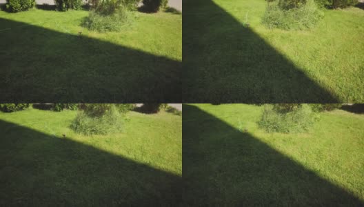 旋转洒水器浇灌草坪只是og阴影和光的边缘。绕轨道运行的喷头旋转迅速，水在后院的草坪上蔓延高清在线视频素材下载