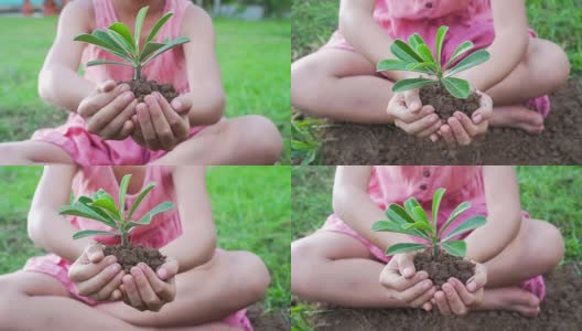 一个亚洲女孩拿出一把有绿色植物的土壤。保护地球的概念和象征高清在线视频素材下载