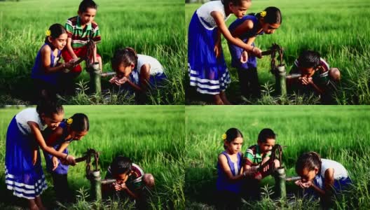孩子们在大自然中饮用淡水高清在线视频素材下载