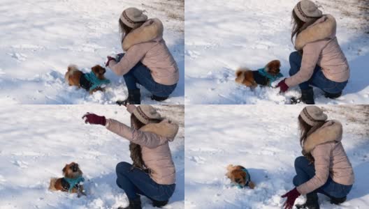 一个女人在雪里和狗玩高清在线视频素材下载