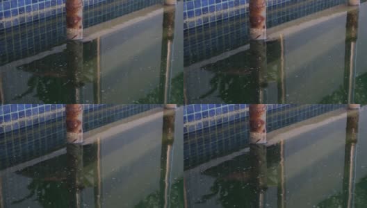 用梯子弄脏游泳池的水高清在线视频素材下载