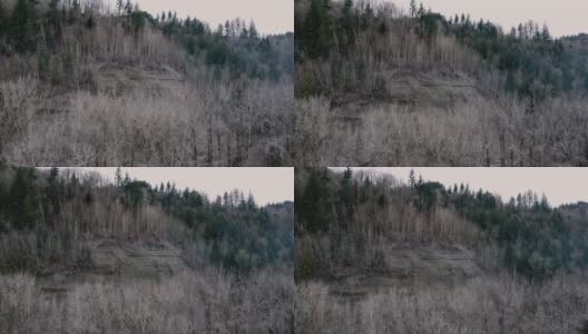 雪崩的地方有一些没有叶子的树和山上一些绿色的树高清在线视频素材下载