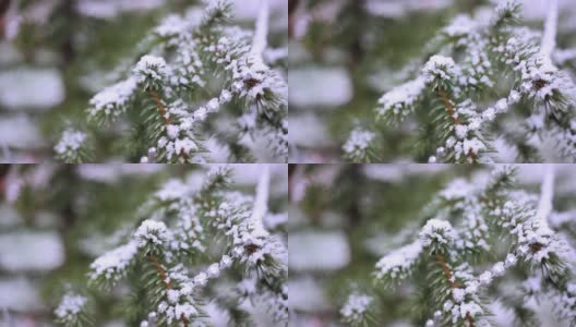 冬天，雪花飘落在云杉树枝上，外面挂满了新年的装饰品。圣诞节散焦背景高清在线视频素材下载