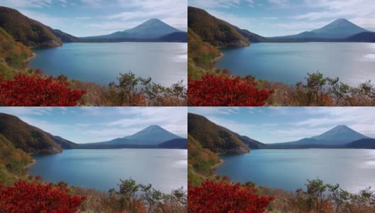 富士山与树前景，本须子湖，日本高清在线视频素材下载