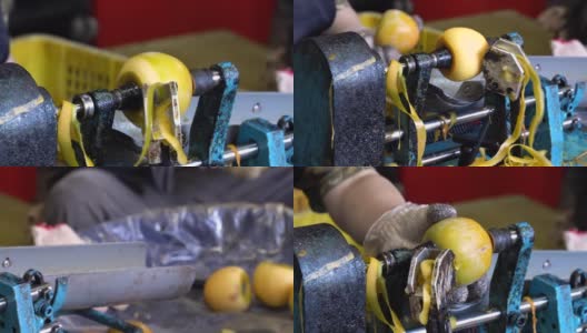 一名女工正在使用削皮机削柿子，以制作柿子干腌渍食品。高清在线视频素材下载