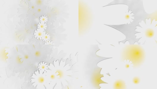 白色背景上的雏菊草地。动画。高清在线视频素材下载