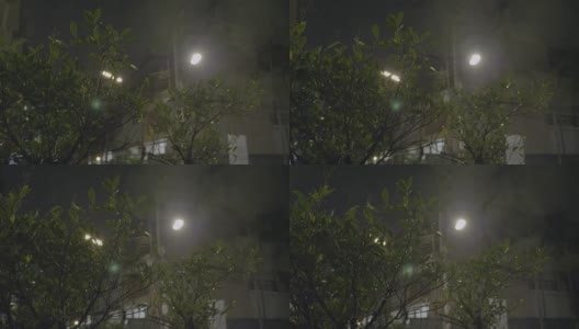 夜间热带暴雨高清在线视频素材下载