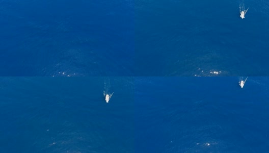 平视航拍与蓝色海面和白色帆船从顶部滑动高清在线视频素材下载