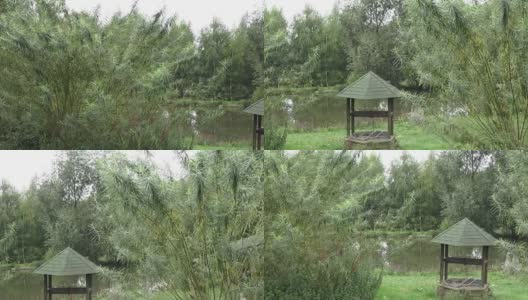 池塘边的老井。花园里的池塘。湖边的柳枝。高清在线视频素材下载