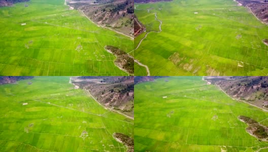 空中大片的稻田坐落在群山之间高清在线视频素材下载