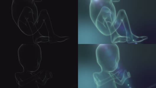 《新生小婴儿》在X射线上，未来概念，3D动画。4 k高清在线视频素材下载