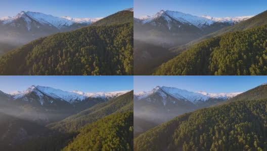 森林和山高清在线视频素材下载