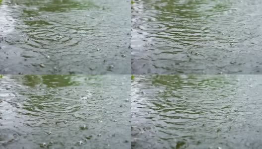 雨水滴落在池水的背景里高清在线视频素材下载