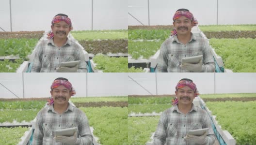 在温室里种植绿色沙拉和蔬菜的水培法。园丁们精心照料有机蔬菜。一个亚洲男人在菜地里散步。高清在线视频素材下载