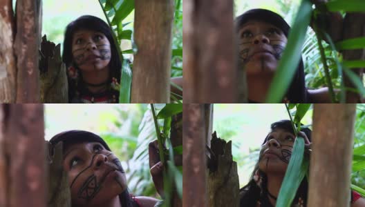 来自瓜拉尼族的巴西土著年轻女子发现了雨林高清在线视频素材下载