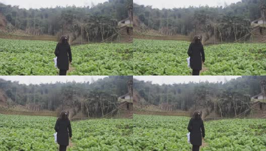 一个中国女孩穿过农村田野高清在线视频素材下载
