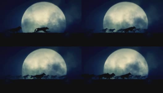 大群狼在满月之夜奔跑高清在线视频素材下载
