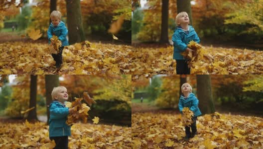 童年时刻:男孩抱着秋叶高清在线视频素材下载