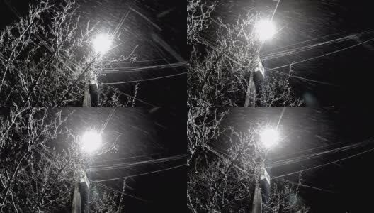 Natural snow fall background at night backlit by street led light高清在线视频素材下载