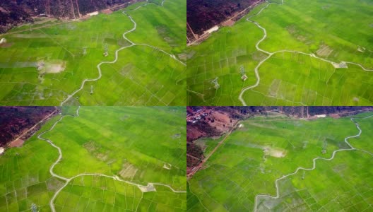 鸟瞰图，河流蜿蜒穿过大型水稻种植场高清在线视频素材下载