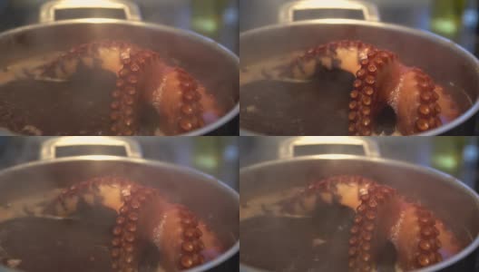 沸腾的章鱼高清在线视频素材下载