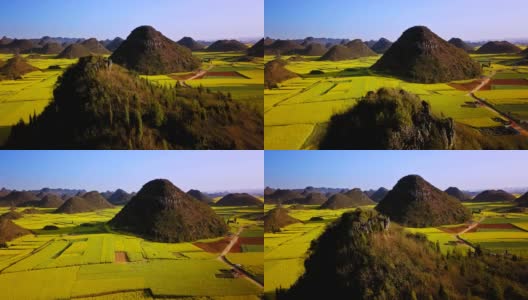 无人机在中国罗平油菜花田上空的鸟瞰图高清在线视频素材下载