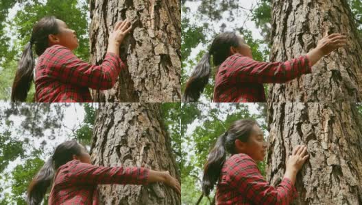 雨林里，一个快乐的女人站在一棵老树旁，用爱和微笑拥抱着。地球日和不砍伐森林的概念。高清在线视频素材下载
