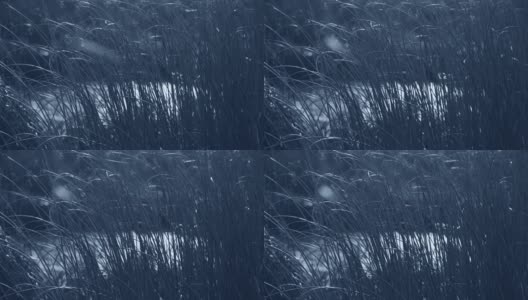 美丽的抽象4k视频景观。秋天树木光秃秃的树枝的黑色剪影孤立在模糊的冰冻的池塘背景高清在线视频素材下载