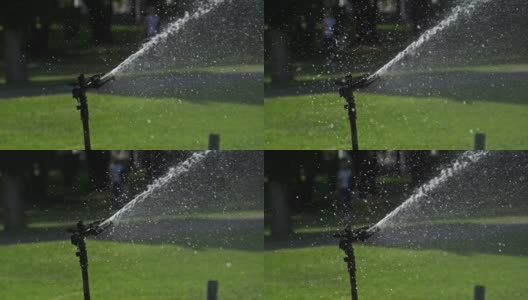 绿色花园中的自动草坪洒水器，用慢动作浇灌草坪高清在线视频素材下载